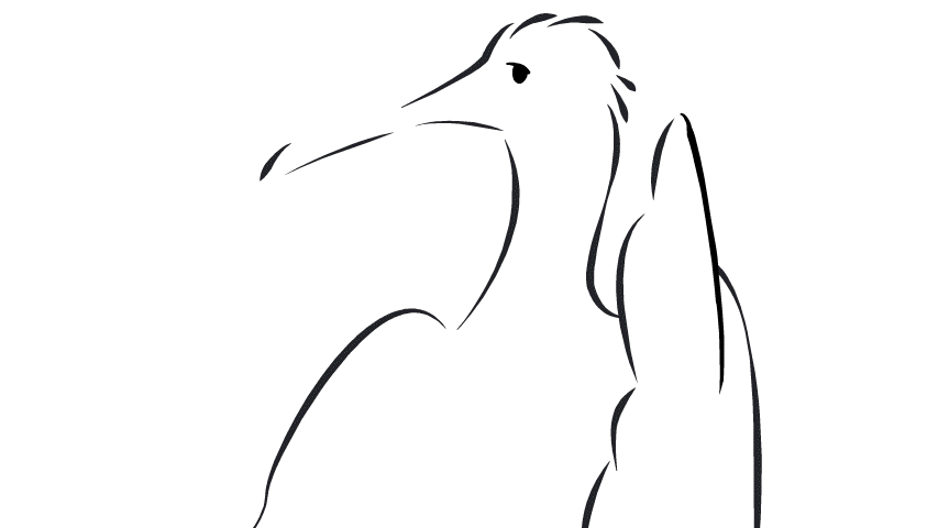 More in-depth animation of the bird using Shape Tweens in Adobe Animate